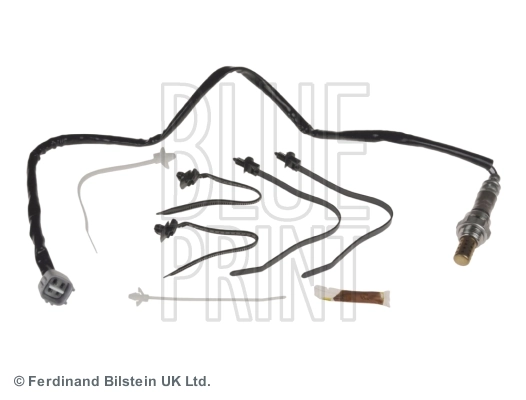 Oxygen Sensor